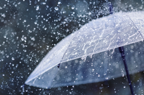 როგორი ამინდია მოსალოდნელი რუსთავში