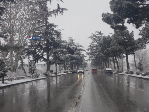 რა ხდება რუსთავის ქუჩებში [photo]