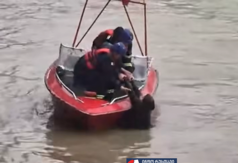 მტკვარში ქალი გადავარდა