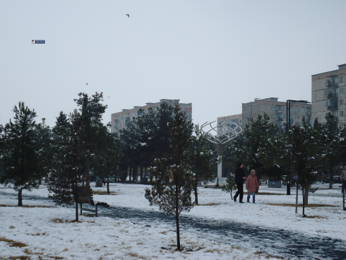 2026 წლის პირველი თოვლი რუსთავში