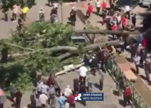 ავტომობილს ხე დაეცა