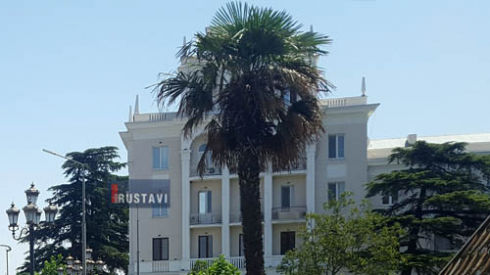 ძროხები ცენტრალურ ქუჩაზე (ფოტო)