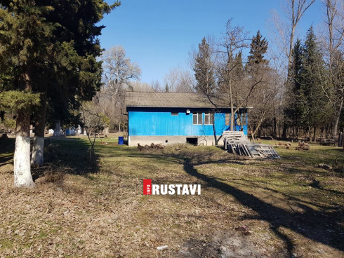 რუსთავის ველური ტყე [photo]