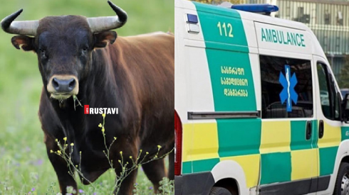 მამაკაცს ხარი თავს დაესხა