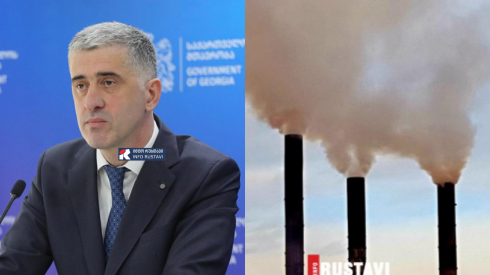 "აუციელებელია, ყველას მივცეთ გონივრული ვადა" [video]