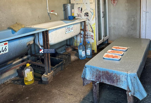 სეს-მა ფრინველთა ორი არალეგალური სასაკლაო გამოვლინდა