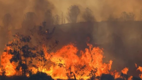 ძლიერი ხანძარი თურქეთში