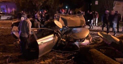 ავტომობილს ხე დაეცა, რა დროსაც მძღოლი გარდაიცვალა