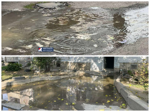 "მოდიან, აკეთებენ თითქოს და მეორე დღეს ისევ იგივე მდგომარეობაა"