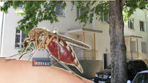 მამაკაცი მწერ­ის ნაკბენით გარდაიცვალა