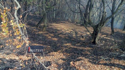 ხანძარი ლოკალიზებულია