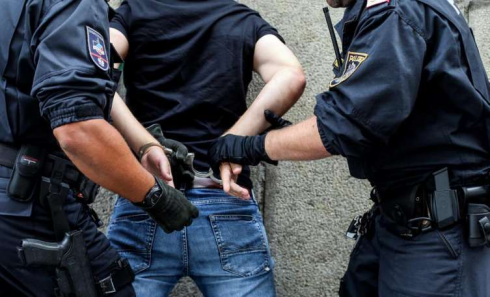 ავტრიაში საქართველოს ორი მოქალაქე დააკავეს