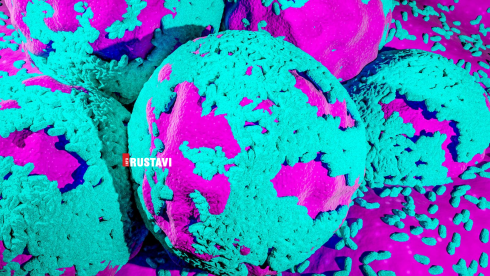 ახალი კვლევა კიბოს შესახებ