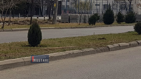 "ცხოველი შუა გაზე დააბეს" [photo]