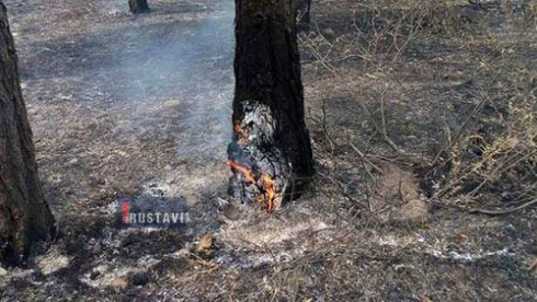 ხანძარი ბოლნისში