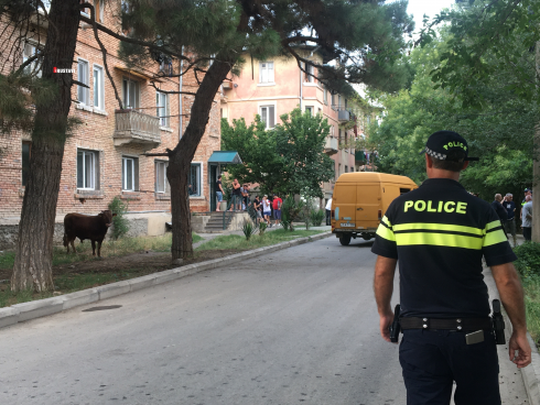 რუსთავში ხარმა ბავშვები გათელა [video]