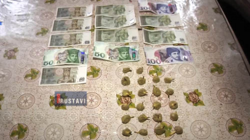 შსს სპეცოპერაციის კადრებს ავრცელებს (ვიდეო)