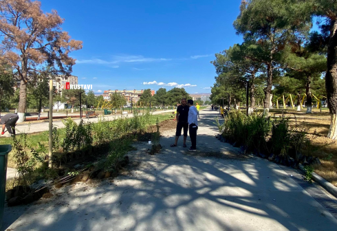 რუსთავის ახალგაზრდობის სკვერში ახალ ხე-მცენარეებს რგავენ [photo]