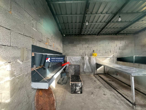 სესმა შიდა ქართლში არალეგალური კვერცხის საწარმო და სასაკლაო გამოავლინა