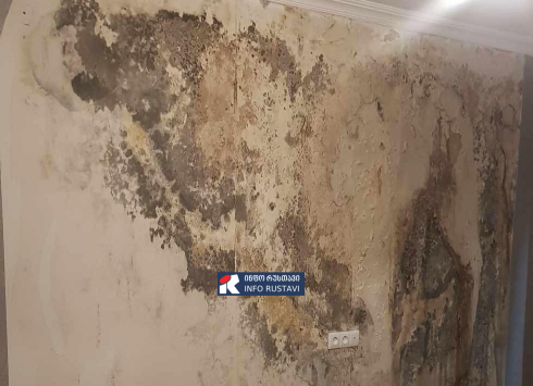 რუსთავში ძლიერი წვიმის შედეგად რამდენიმე ოჯახი დაზარალდა