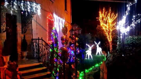 საახალწლო განწყობა [photo]