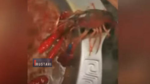 რა მოხდა ჩინურ რესტორანში [video]