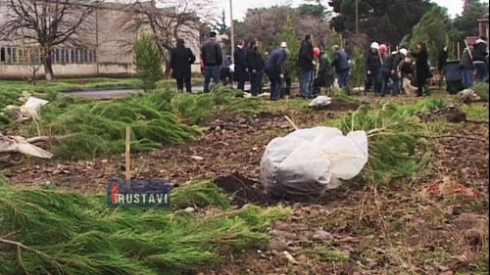 გამწვანების აქცია ფეროშენადნობთა ქარხანაში.