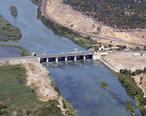 რუსთავში, მამაკაცი უკანონოდ თევზაობდა