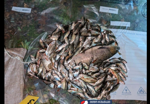 ბრაკონიერობის ფაქტი