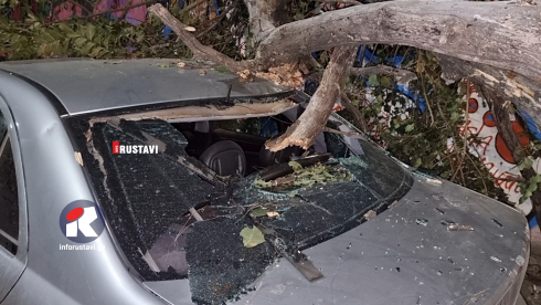 რუსთავის პარკში ხე მოტყდა და მანქანას დაეცა [video]