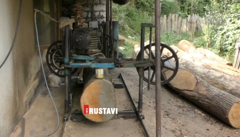 უკანონოდ მოჭრილი 20 ერთეული წიფლის მორი