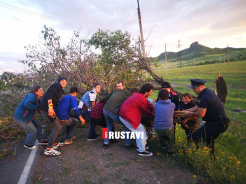 წაქცეულმა ხემ საავტომობილო მოძრაობა შეაფერხა