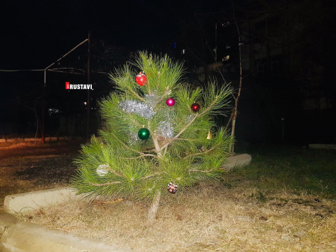 "უბნის ნაძვის ხეები" რუსთავში [photo]