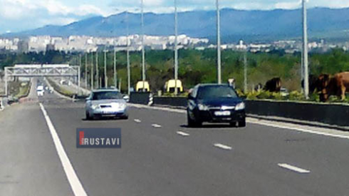 რა ხდება ავტოტობანზე (ფოტოები)