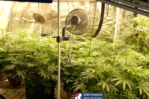 ნარკოდანაშაულის ბრალდებით 4 პირი დააკავეს