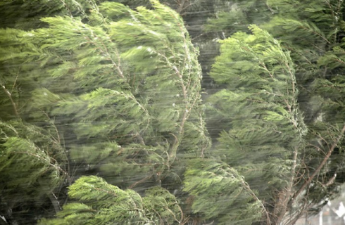 როდის გამოიდარებს