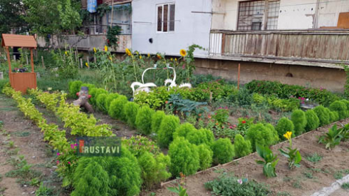 ფოტორეპორტაჟი სხვადასხვა უბნიდან [photo]