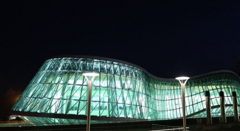 "თავის არეში სასიკვდილო ჭრილობა მიიყენა"