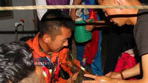 ტუალეტში მცირეწლოვანი ჩავარდა [video]