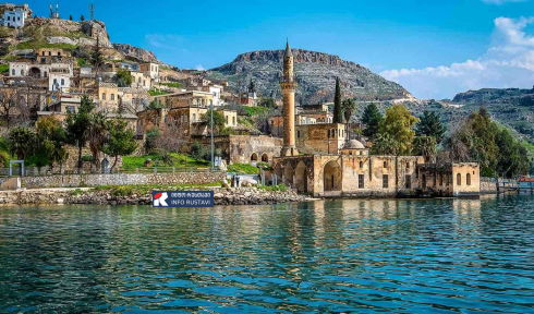 ორგანიზაცია "Umbrella" მოხალისეებს ეძებს