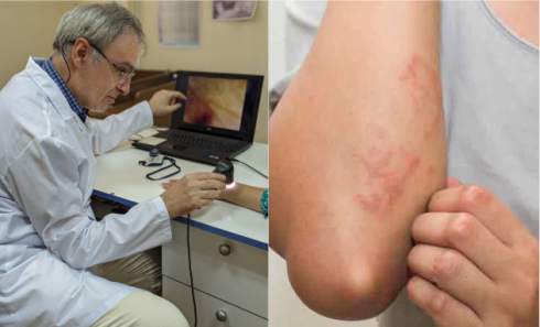 რჩევები და რეკომენდაციები