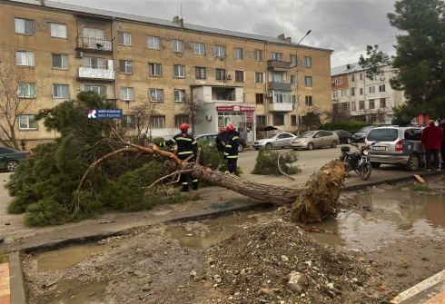 რუსთავში ავტომობილს ხე დაეცა [video]