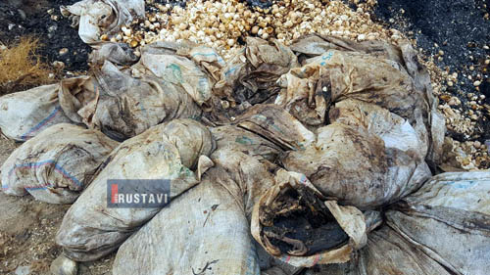 ვინ "წამლავს" ქალაქს (ფოტო/ვიდეო)