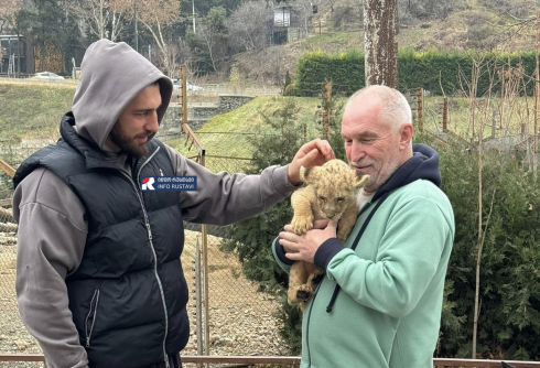 ლაშა ბექაურმა ლომის ბოკვერი ზოოპარკს გადასცა