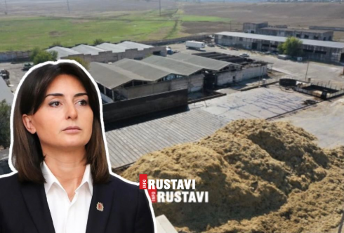 "საშველი ალბათ საწარმოს მთლიანად საბოლოო დახურვაა"