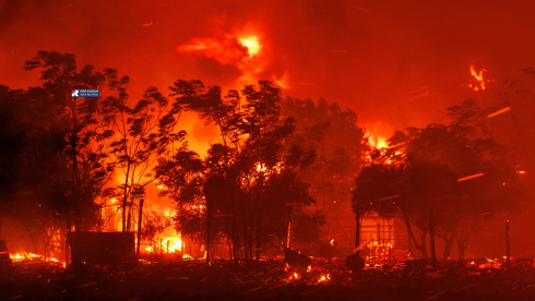 საბერძნეთში ტყის ხანძრების გაჩენის ბრალდებით 79 ადამიანი დააკავეს