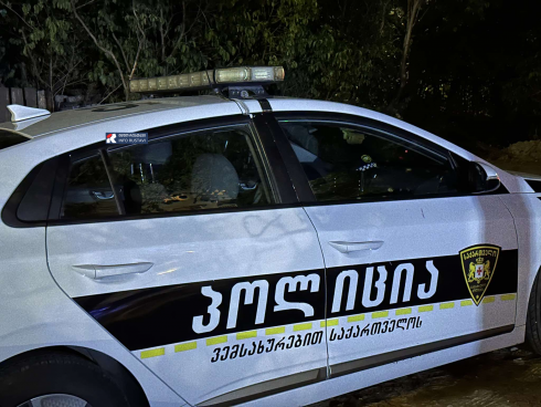 ბიძამ 25 წლამდე დიშვილი დაჭრა