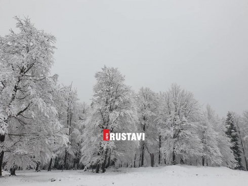 ბაკურიანში მოთოვა [photo]
