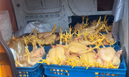 სესმა ფრინველთა არალეგალური სასაკლაოები გამოავლინა