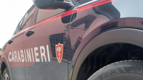 იტალიაში საქართველოს მოქალაქე დააკავეს